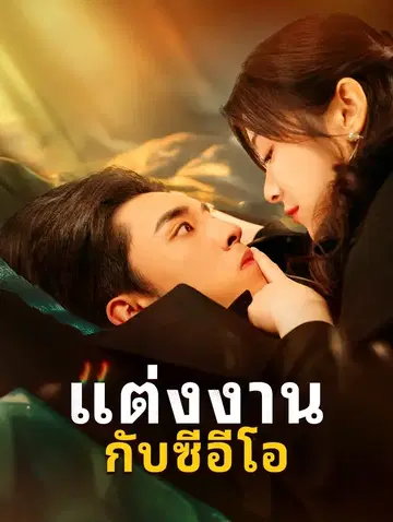 แต่งงานกับซีอีโอ