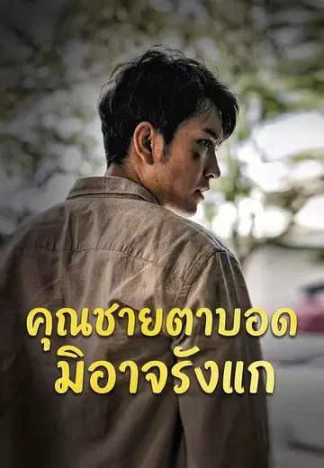 คุณชายตาบอดมิอาจรังแก