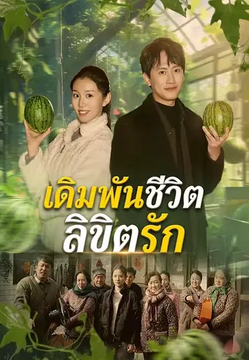 เดิมพันชีวิตลิขิตรัก