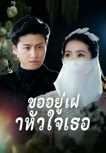 ขออยู่เฝ้าหัวใจเธอ