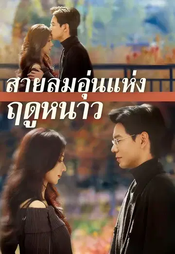 สายลมอุ่นแห่งฤดูหนาว
