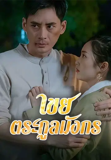 เขยตระกูลมังกร