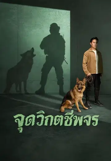 จุดวิกฤตชีพจร