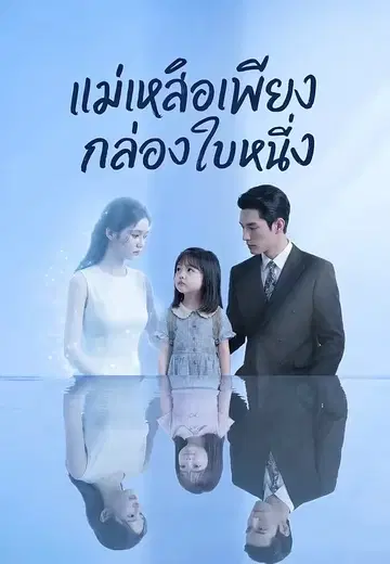 แม่เหลือเพียงกล่องใบหนึ่ง