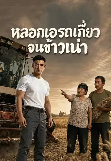 หลอกเอารถเกี่ยวจนข้าวเน่า