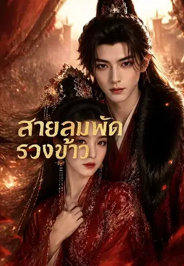 สายลมพัดรวงข้าว