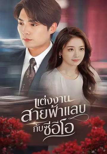 แต่งงานสายฟ้าแลบกับซีอีโอ